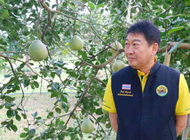 ลงพื้นที่ตรวจเยี่ยมและติดตามการดำเนินงานของศูนย์เรียนรู้การปลูกส้มโอทับทิมสยามบ้านแสงวิมานตำบลคลองน้อย อำเภอปากพนัง จังหวัดนครศรีธรรมราช โดยนายชวกิจจ์ สุวรรณคีรี รองผู้ว่าราชการจังหวัดนครศรีธรรมราช กล่าวต้อนรับพร้อมนายวิศิษฐ์ ศรีสุวรรณ์ อธิบดีกรมส่งเสริม ... พารามิเตอร์รูปภาพ 3
